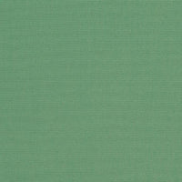 Sunbrella® 6088 - 60" Basil