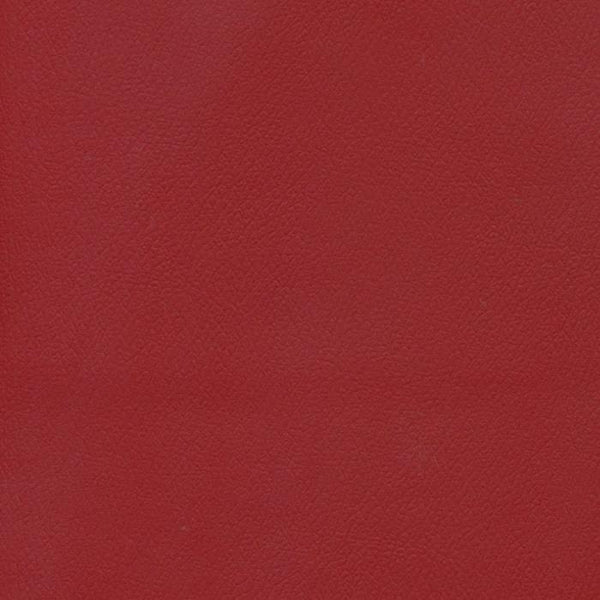 PATRIOT PLUS RUBY PAT-8579