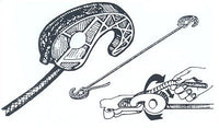 shock cord