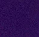 navigator PURPLE PASSION -  NAV-9907